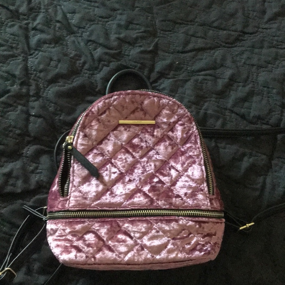 Aldo Velvet Backpack